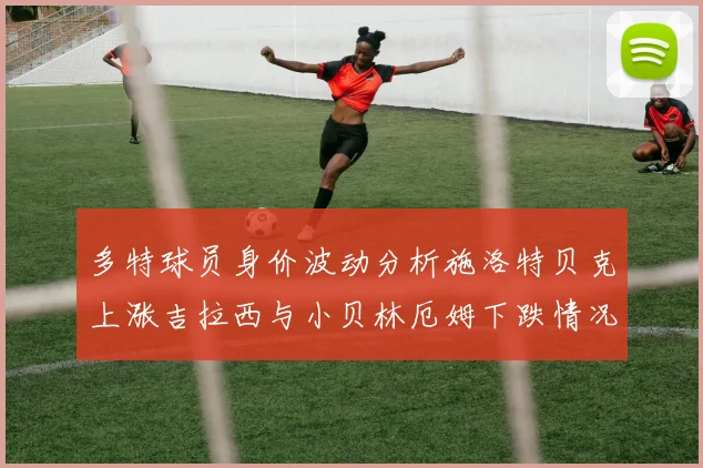 多特球员身价波动分析施洛特贝克上涨吉拉西与小贝林厄姆下跌情况解读