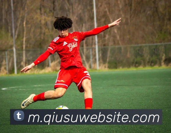 球速体育平台生态图