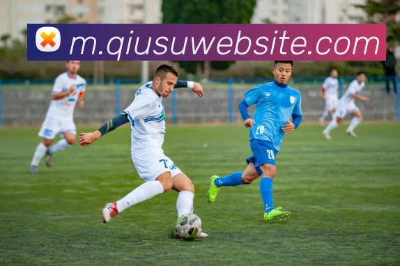 球速体育全站App